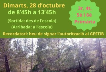 1761563276777 1761563276777